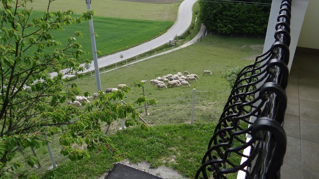 Apartament Relax Center Olimian Podčetrtek Zewnętrze zdjęcie