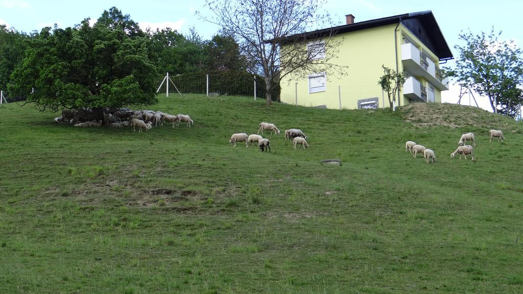 Apartament Relax Center Olimian Podčetrtek Zewnętrze zdjęcie