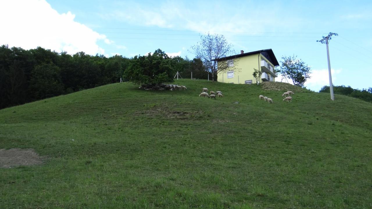 Apartament Relax Center Olimian Podčetrtek Pokój zdjęcie